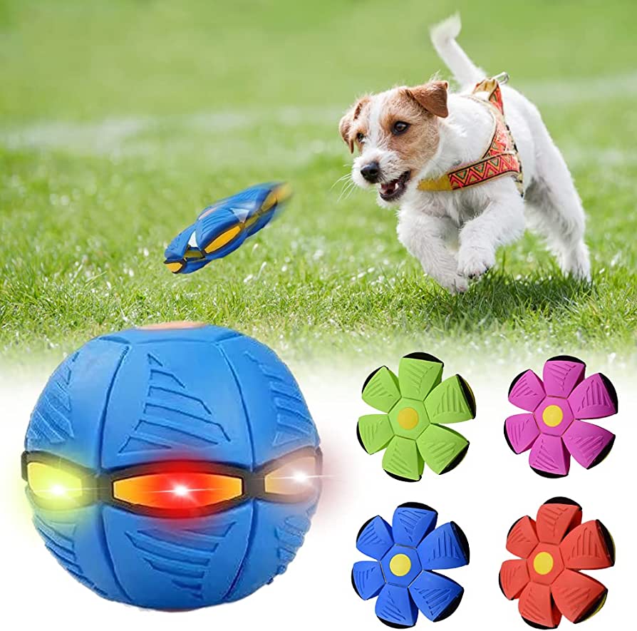 Flat And Throw Dog Frisbee