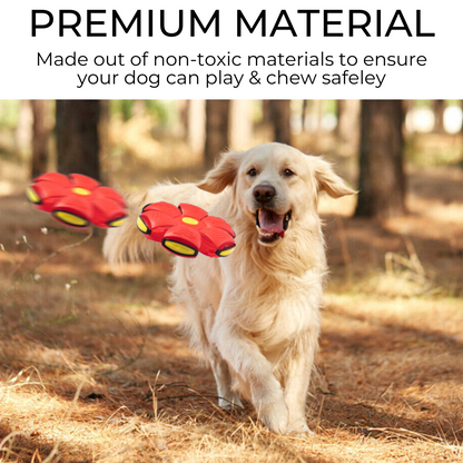 Flat And Throw Dog Frisbee