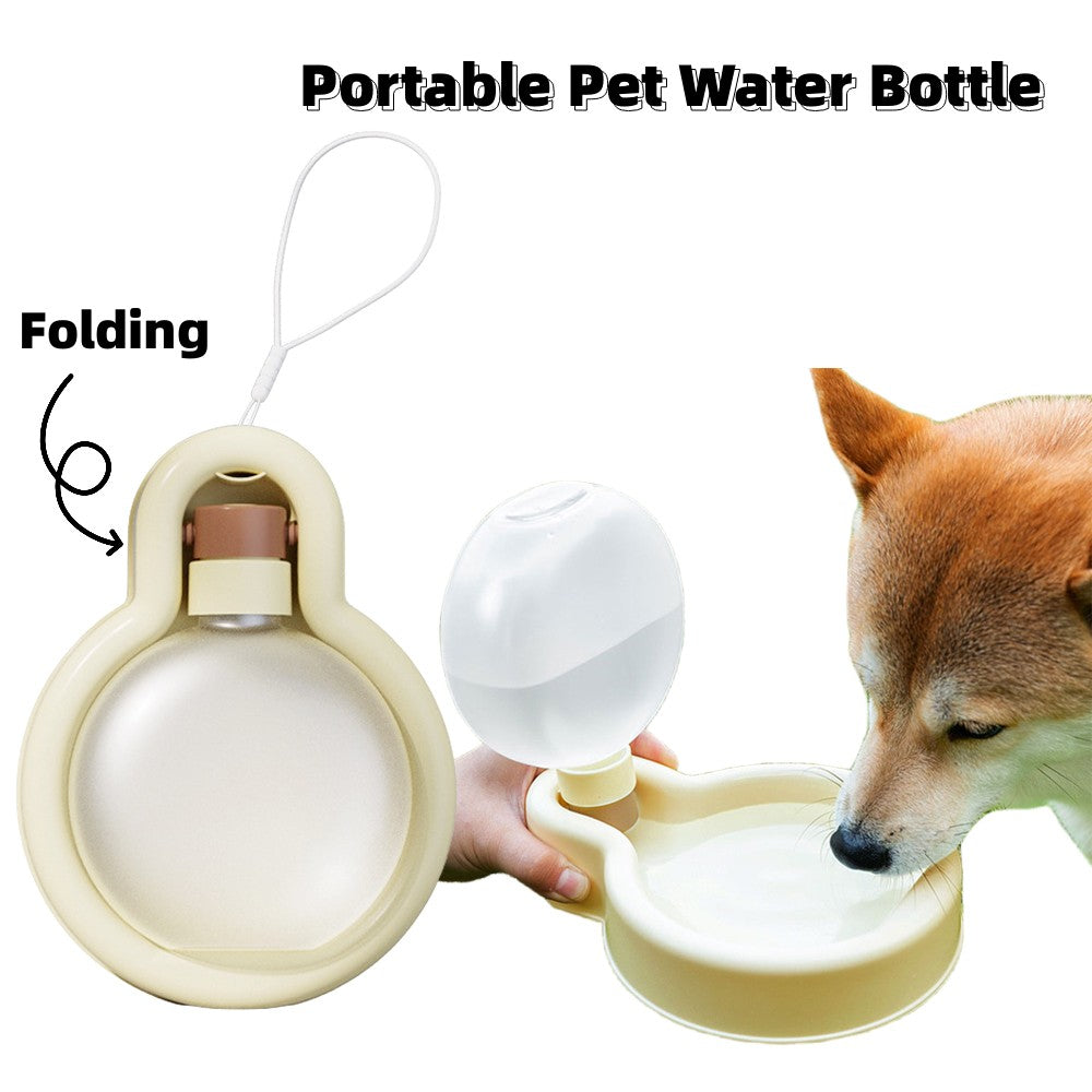 Portable 500ml Pet Water Bottle
